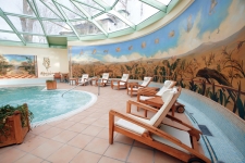 Hotel International Sinaia - piscina