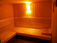 Pensiunea Smida Park - sauna