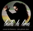 Concert de flamenco la Green Hours jazz-cafe - 26 octombrie 2013